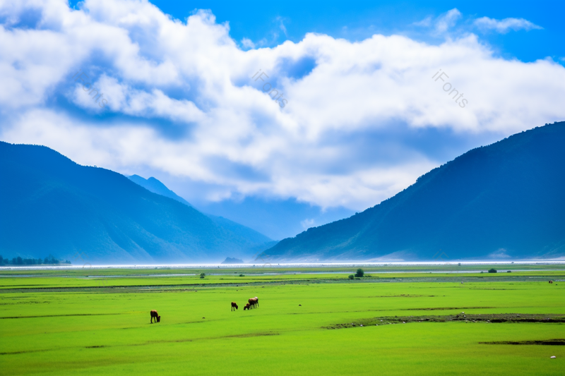 香格里拉纳帕海风景区,高清,摄影图,摄影图片,图片大全,摄影图免费下载